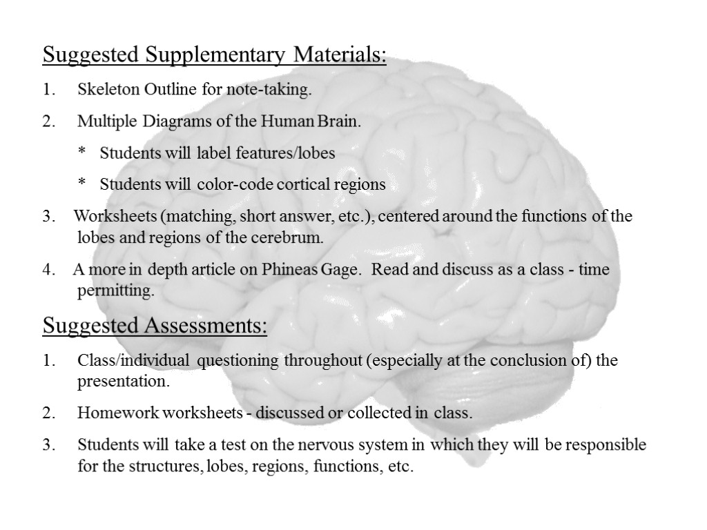 Suggested Supplementary Materials: Skeleton Outline for note-taking. Multiple Diagrams of the Human Brain. *